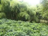 /album/fotogaleria/images-27-jpg/